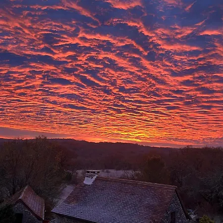 Eco-immersion Oda ve Kahvaltı *