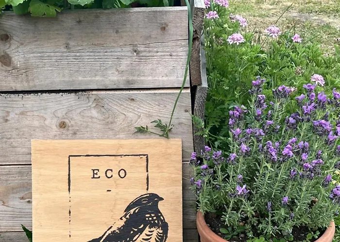 Nocleg ze śniadaniem Eco-immersion *