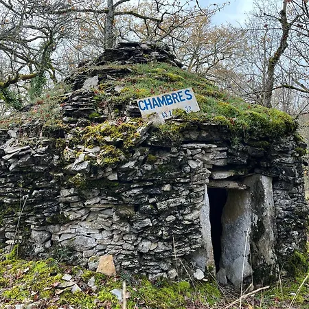 Bed and breakfast Eco-immersion