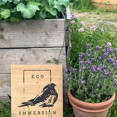 Bed & Breakfast Eco-immersion *