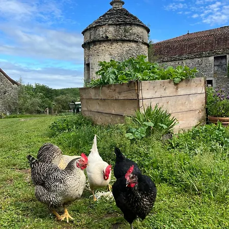 Bed & Breakfast Eco-immersion *