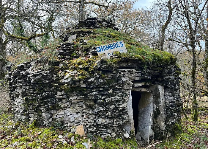 Bed and breakfast Eco-immersion