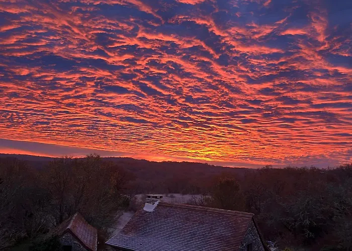 Eco-immersion Bed and breakfast *